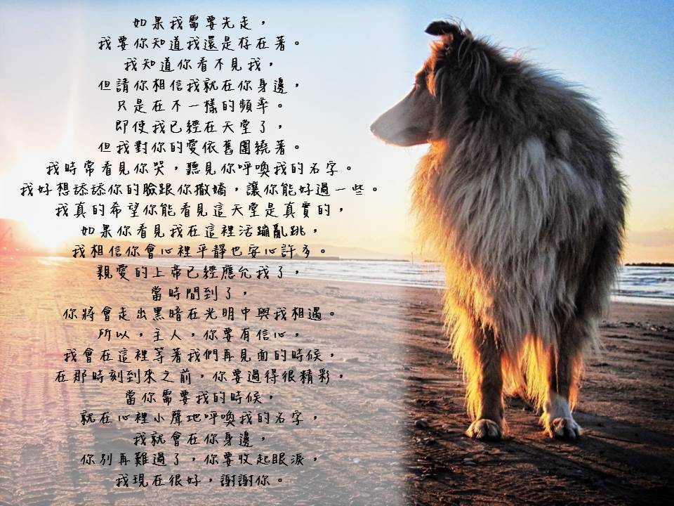投影片1